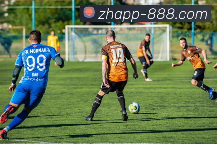 888电子官网平台生态图